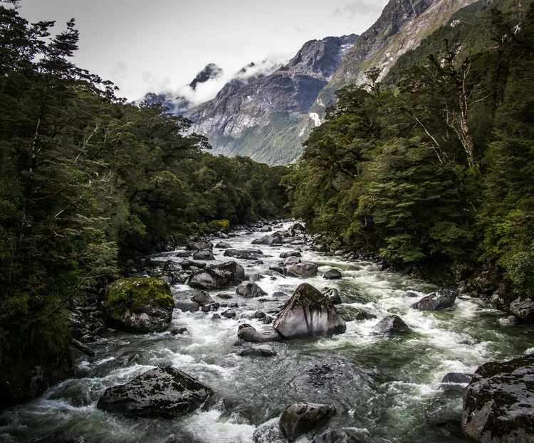 Fiordland, New Zealand